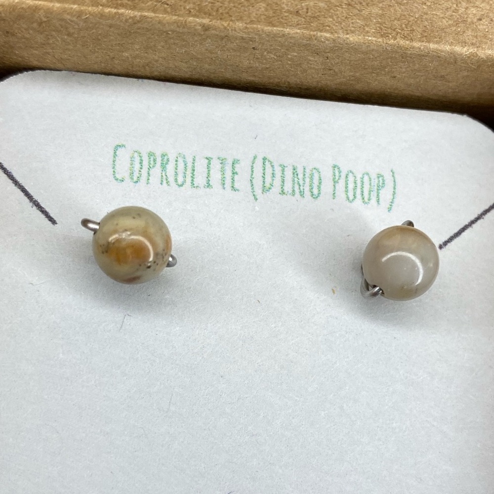 Coprolite Dino Poop 6mm simple bead stud earrings. In stainless steel or blac…